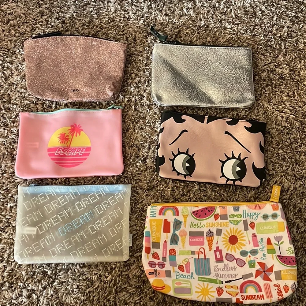 Lot of 6 make up bags!